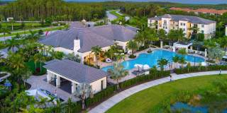 Town Treeline Gallery 1