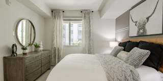 Vive on the Park Gallery 5