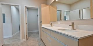 The Tree Apartments Gallery 31