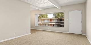 Coliseum Gallery 13