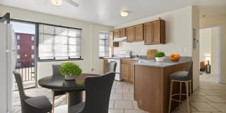 Collins Terrace Gallery 2