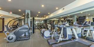 Maple and Main Gallery 12