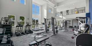 Mosaic at Lake Toho Gallery 14