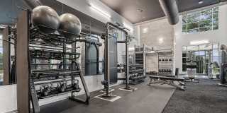 The Mercury Gallery 27