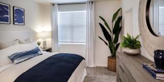 Luma at El Corazon Gallery 21