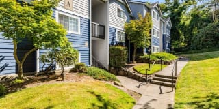 Avana Chestnut Hill Gallery 42