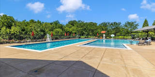 3907 BRAVEHEART Circle Gallery 67