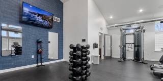 Lux North Lux North Gallery 48