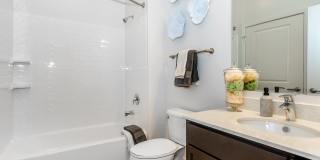 The Waypointe Apartments Gallery 21
