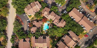 Oak Springs Gallery 2