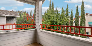 Seville at Mace Ranch Gallery 19