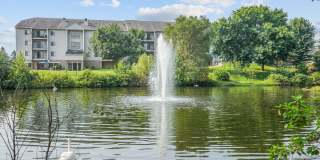 Valley Pond Gallery 18
