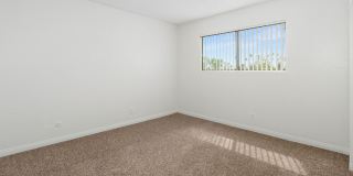 Welcome Home to Woodhaven Apartments Gallery 17
