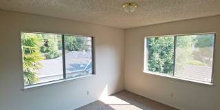 Beautiful 3 bedroom in Scotts Valley Gallery 15
