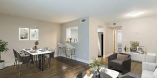 Silver Palms Gallery 12