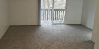 Witham Village Gallery 6