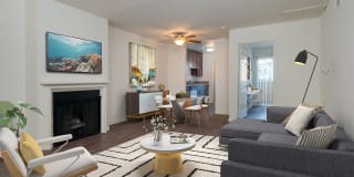 Playa Marina Gallery 1