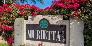 Murietta at ASU Gallery 20