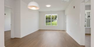 Molly Brook on Belmont Gallery 22