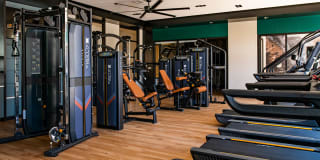 Residences at Galleria Gallery 29