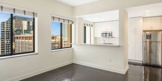 Pegasus Gallery 46
