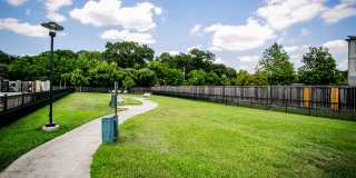 Aliso Briar Forest Gallery 22