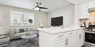 Arcadia on 49th Gallery 6