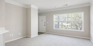 Columns at Club Drive Gallery 12