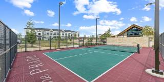 The Prado Gallery 29