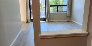 1970 Bush Street 1970 Bush Street Gallery 4