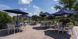 Coleman Canal Winchester Gallery 16