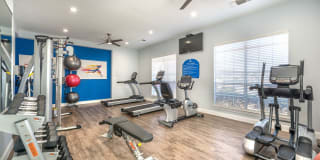 Olympus Stone Glen Gallery 9