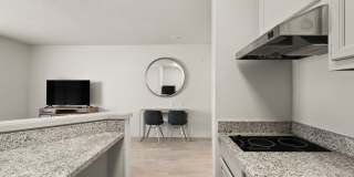 AVIA North Shore Gallery 6