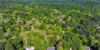 4115 Glen Devon Drive Gallery 57