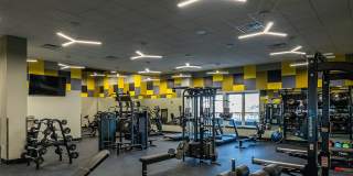 The Royal Bloomfield Gallery 10