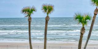 3615 S Atlantic Avenue unit: 209 Gallery 23