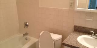Chestnut Hill North Apartments Gallery 25