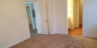 Forest Ridge Gallery 115