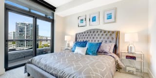 Windsor Cirrus Gallery 13