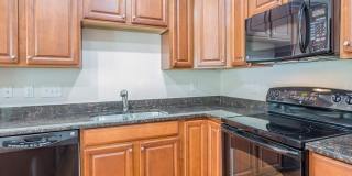 473 Panorama View Loop Gallery 3