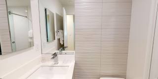 The Atrium on Commonwealth Gallery 29