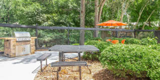 Belmont Crossing Gallery 10