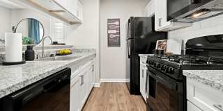 Atlas at St. George Gallery 1