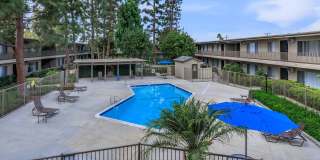 Saddleback Pines Gallery 7
