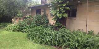 Charming 4BR/2BA Home with Elegant Features and Outdoor Bliss! Gallery 3