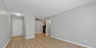 ✨Cozy 1-Bedroom in Prime Louisville Location — Only $900/month!✨ ✨Cozy 1-Bedroom in Prime Louisville Location — Only $900/month!✨ Gallery 12