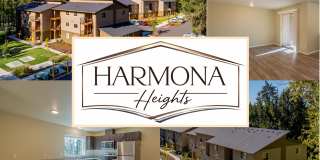 Harmona Heights Apartments Gallery 41
