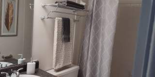 Woods of Castleton Gallery 5