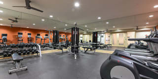 The Stories Gallery 23