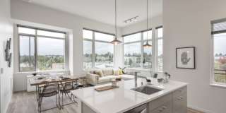 Janus Apartments Gallery 3